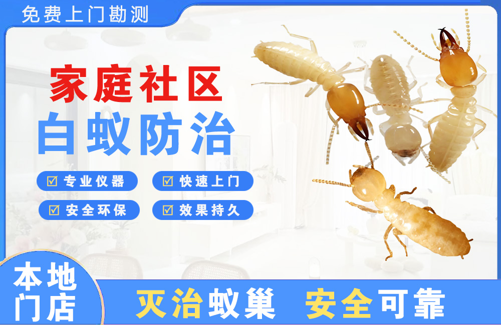 海盐家庭社区白蚁防治