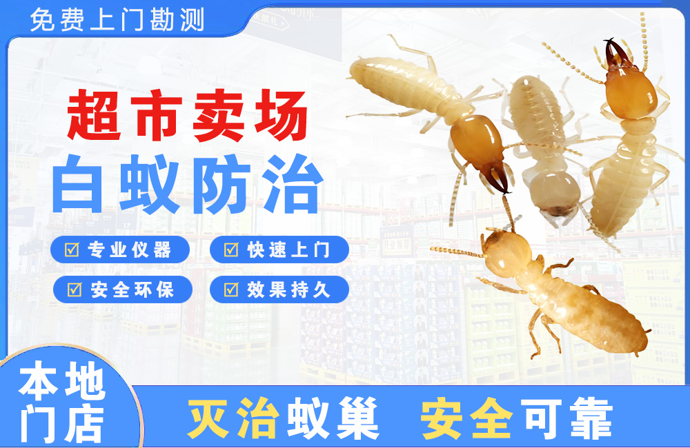 海盐超市卖场白蚁防治