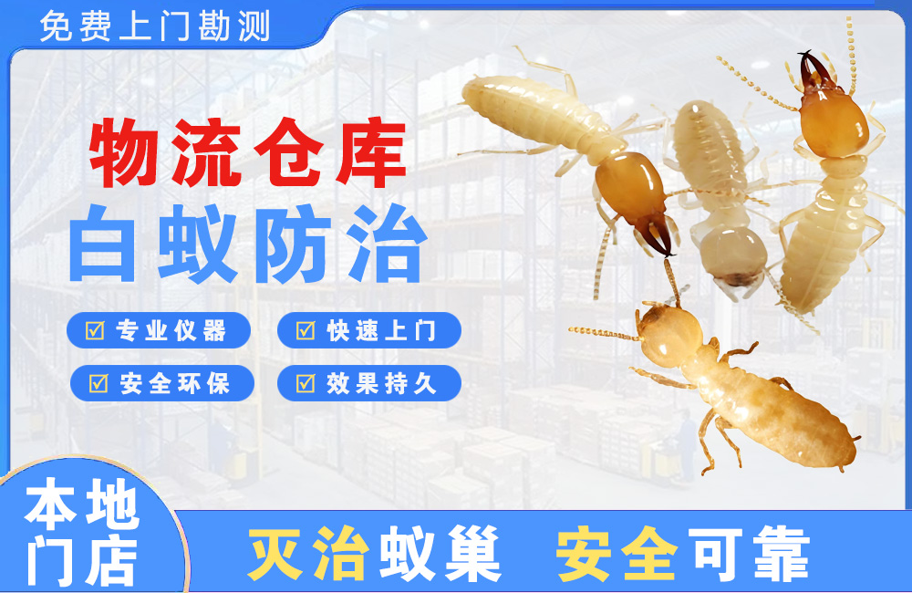海盐物流仓库白蚁防治