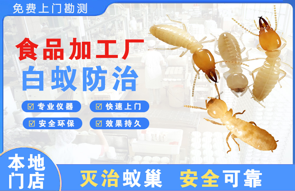 海盐食品加工厂白蚁防治