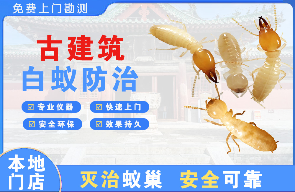 海盐古建筑白蚁防治