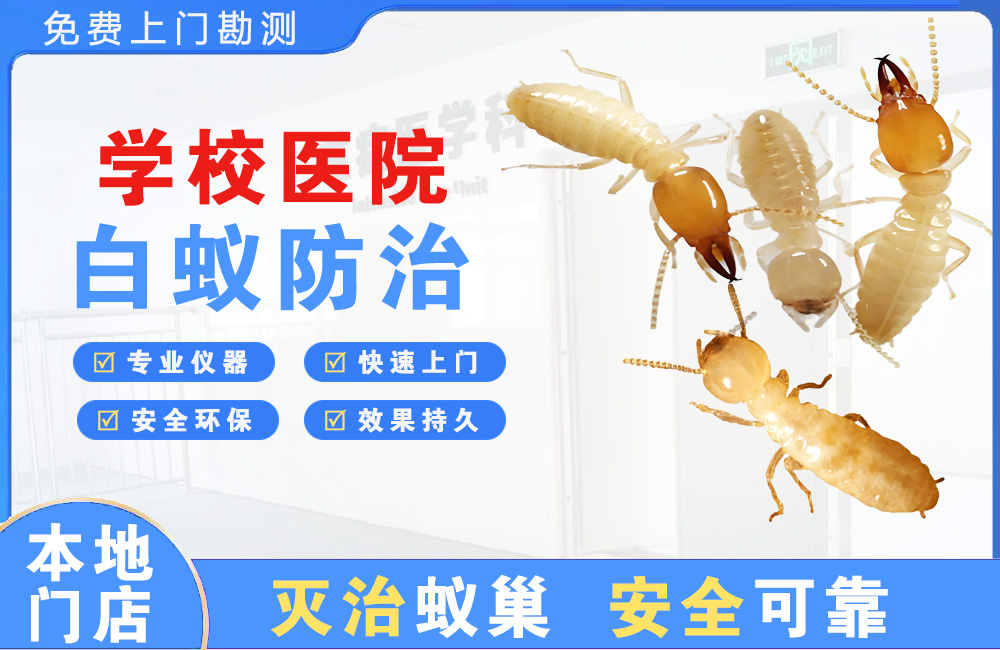 海盐学校医院白蚁防治