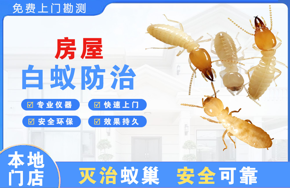 海盐房屋白蚁防治