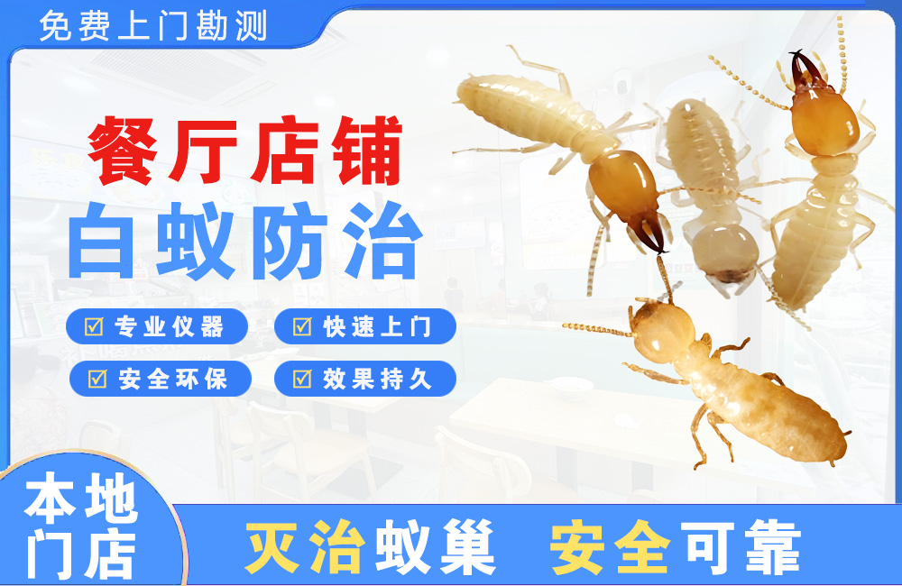 海盐餐厅店铺白蚁防治